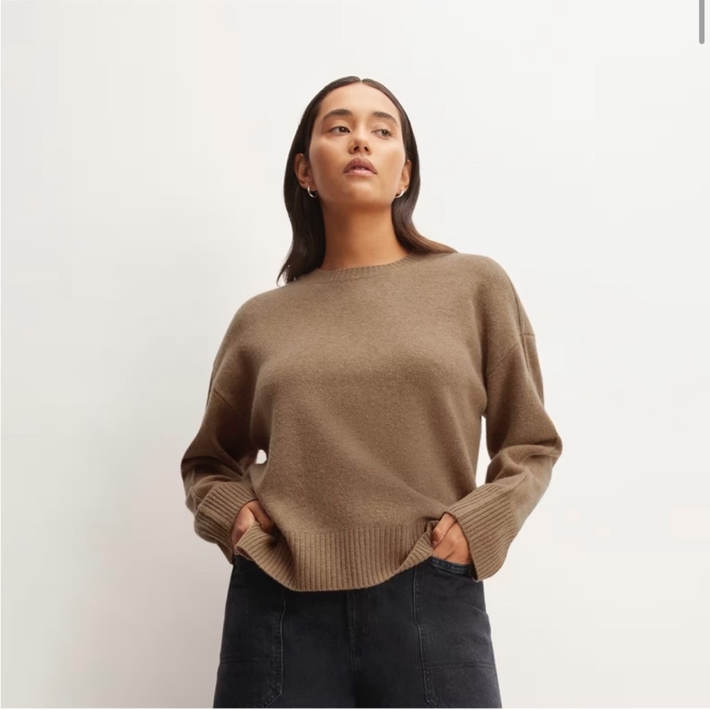 Everlane Good Merino Wool Crewneck Sweater